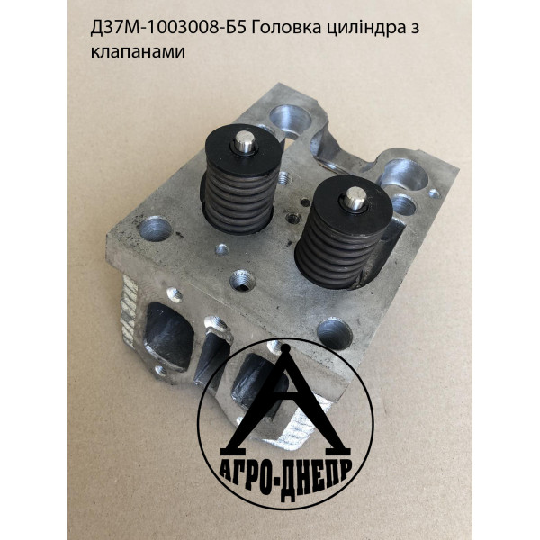 Д37-1003008-Б5 Головка цилиндра с клапанами