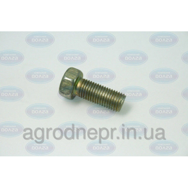 Д25-064 болт М8*1 l=20