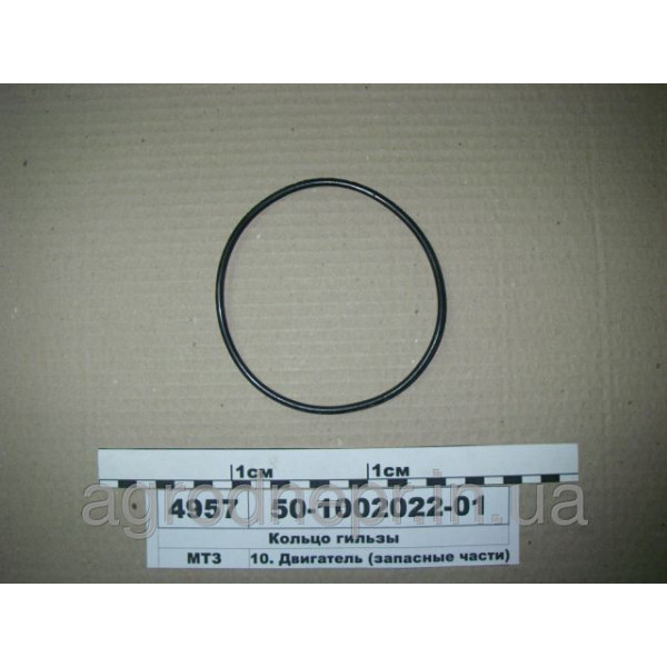 Кольцо уплотнительное гильзы Д-65, Д-240 50-1002022