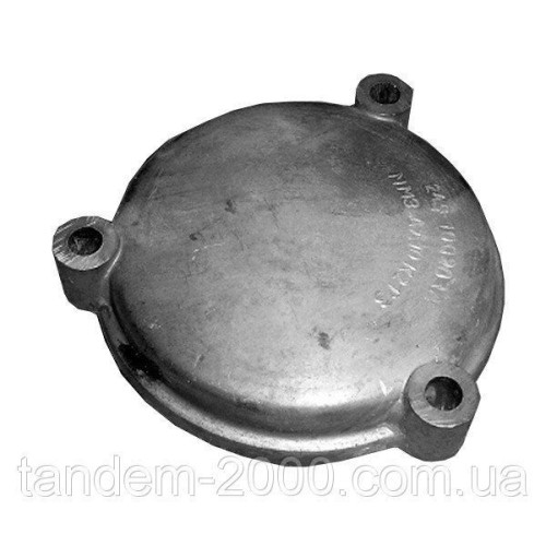 Кришка люка 245-1002036